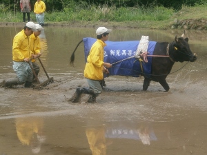 生物調査部