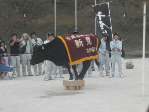生物調査部