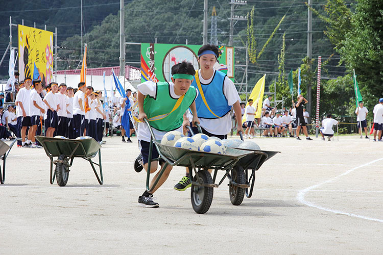 新高祭 体育の部